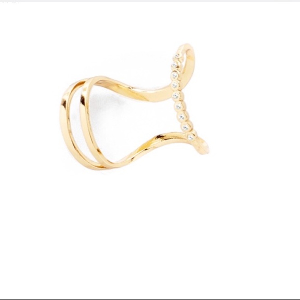 ring (118064L)